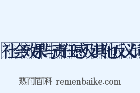 社会效果与责任感及其他反义词是什么意思的图片